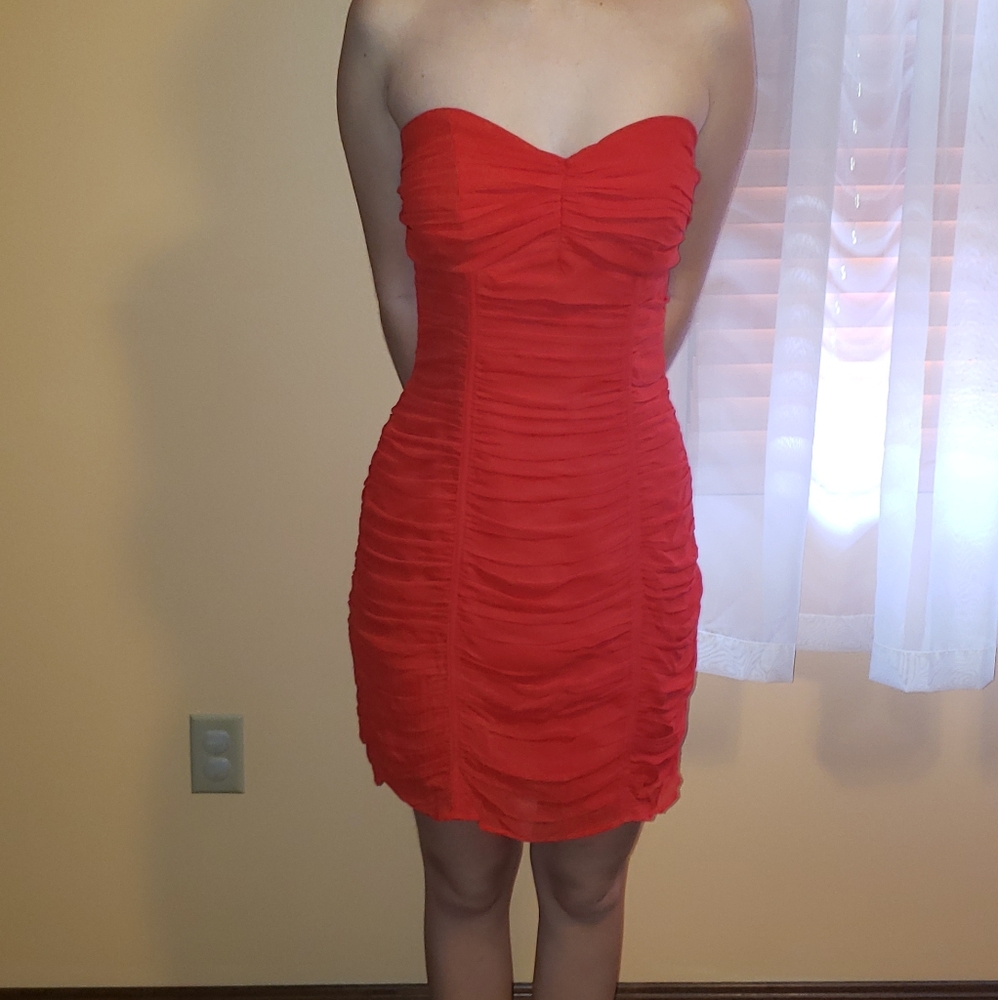 Express Dress - Picture 2 of 3
